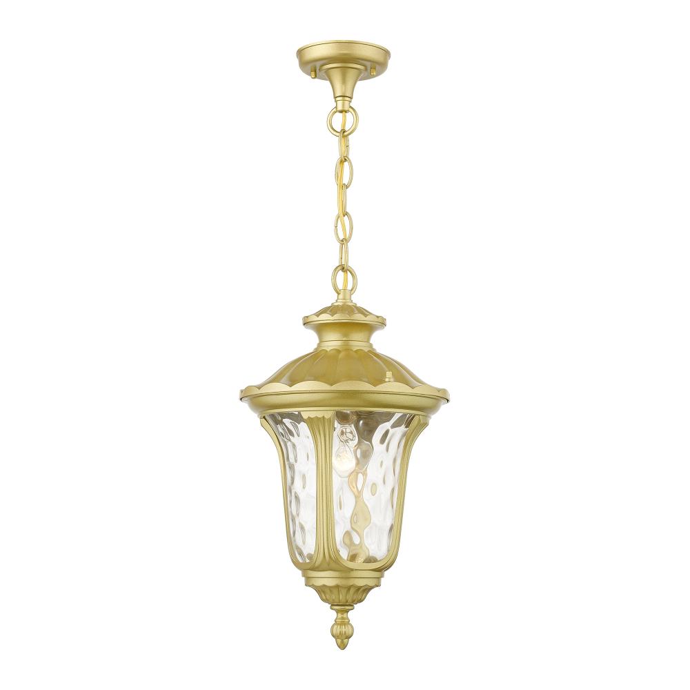 1 Light Soft Gold Outdoor Medium Pendant Lantern