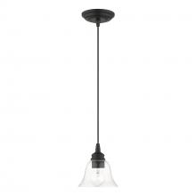  46480-04 - 1 Light Black Single Pendant