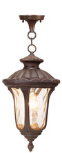  7654-58 - 1 Light Imperial Bronze Chain Lantern