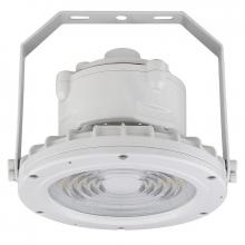 Westgate MFG C1 EXPR-30W-50K - C1D2 HAZ. LOC. ROUND FLOOD HIGHBAY 120-277V 30W 50K GRAY