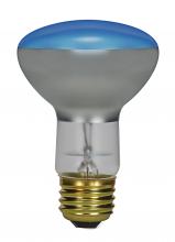 Satco Products Inc. S2851 - 75 Watt R25 Incandescent; Grow; 2000 Average rated hours; Medium base; 120 Volt