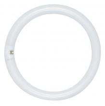  S6506 - 40 Watt; T9; Circline Fluorescent; 4100K Cool White; 62 CRI; 4-Pin base