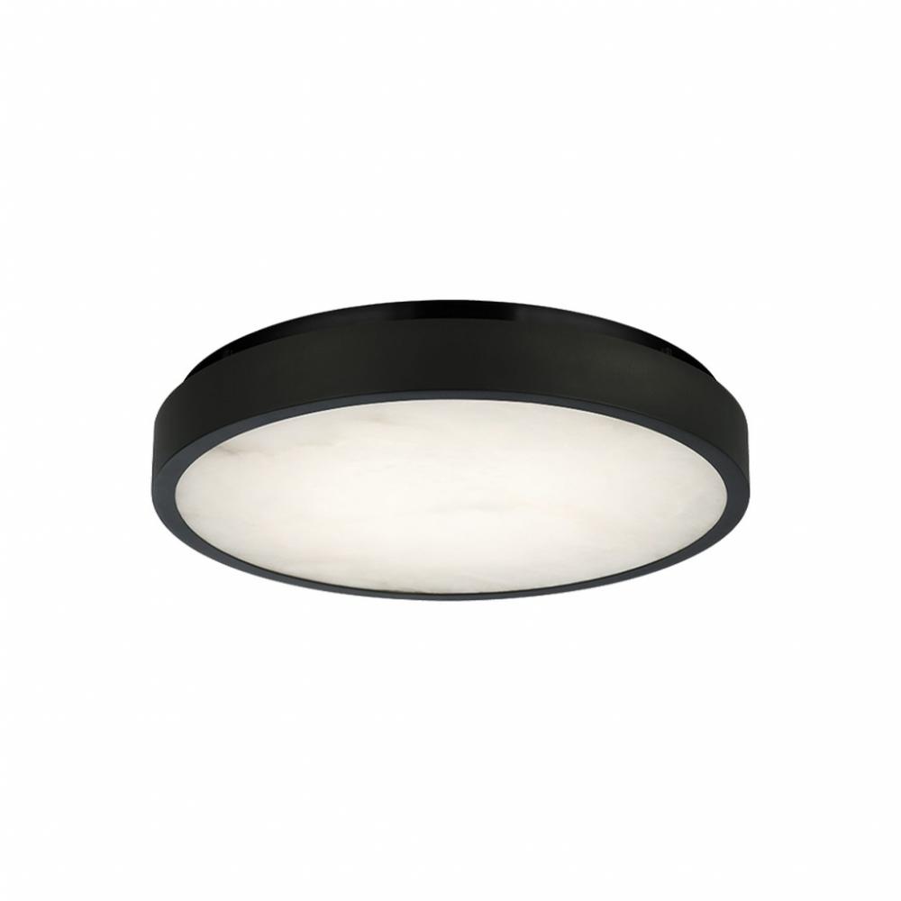 15" Diam " Marblestone" Matte Black Ceiling Mount