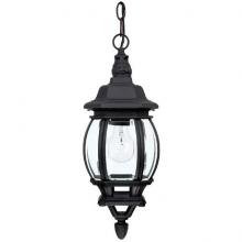  9868BK - 1 Light Outdoor Hanging Lantern