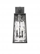  10602-PBK - Outdoor Wall Sconce