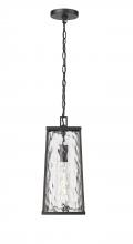 10621-PBK - Outdoor Hanging Lantern