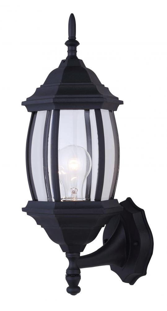 Outdoor 1 Light Outdoor Lantern, Black Finish