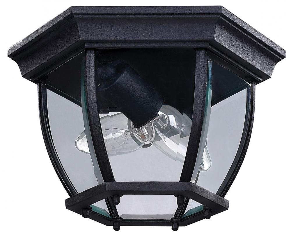 Foyer 2 Light Outdoor Lantern, Black Finish