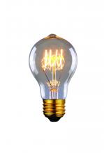 Canarm B-A60-23C - Bulb, Edison Bulbs, 60W E26, Clear Color, A60 Cone Shape, 2500hours