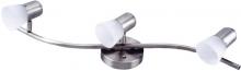 Canarm IT5351 - Omni, 3 Head Track, Frosted Swirl Glass, 60W A15 or R16