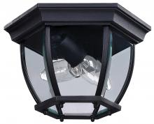 Canarm IOL60BK - Foyer 2 Light Outdoor Lantern, Black Finish
