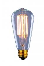 Canarm B-ST45-17C - Bulb, Edison Bulbs, 60W E26, Clear Color, ST45 Cone Shape, 2500hours