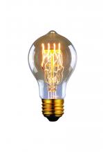 Canarm B-A60-23LG - Bulb, Edison Bulbs, 60W E26, Light Yellow Color, A60 Cone Shape, 2500hours