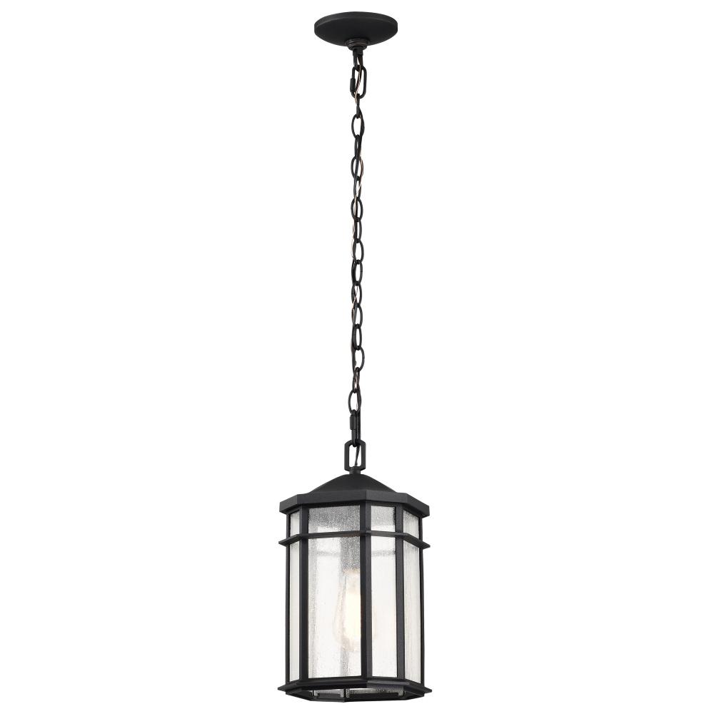 Raiden Collection Outdoor 14.5 inch Hanging Light; Matte Black Finish with Clear Seedy Glass