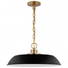 Nuvo 60/7484 - Colony; 1 Light; Medium Pendant; Matte Black with Burnished Brass