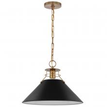 Nuvo 60/7525 - Outpost; 1 Light; Large Pendant; Matte Black with Burnished Brass