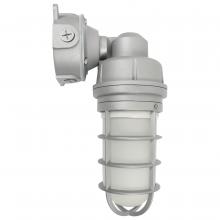 Nuvo 65/551 - LED Adjustable Vapor Tight Fixture; 20W; RGB Selectable; Gray Finish