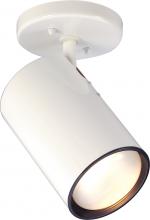 Nuvo SF76/418 - 1 Light - R30 Step Cylinder - White Finish